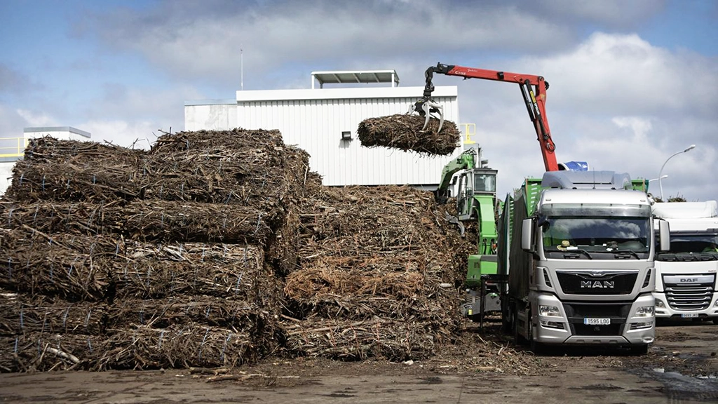 Sistema que unifica el stock de biomasa en monte y en planta para Greenalia